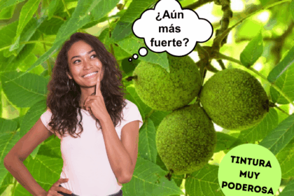 limpieza-parasitico-alternativa